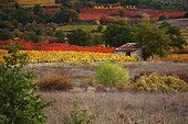 Agricultural landscape in autumn Provence France