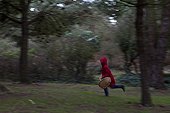 Little Red Riding Hood on a forest road Britain France 