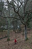 Little Red Riding Hood in a forest Britain France 
