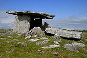 Dolmen Poulnabrone Ireland 