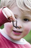 Boy holding an earthworm in a garden Norfolk UK