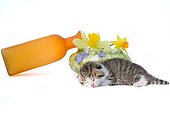 Tabby and white kitten sleeping in front of a vase and flowers