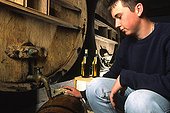 Beekeeper withdrawing from a barrel of mead France 