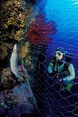 Diver discover Fish in lost Fishing Net, Susac, Dalmatia, Adriatic Sea, Croatia