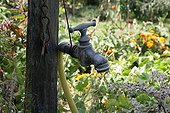 Faucet in a kitchen garden