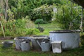 Rainwater collection in a garden