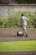 Gardener pushing traditional roller, April