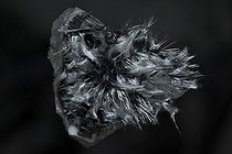 Psilomelane on black background Socorro New-Mexico ; Also called Romanechite
