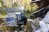 Study of the behavior of Asian Hornets in an apiary ; CNRS de Gif sur Yvette