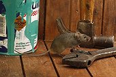 House Mouse by tools and paint Midlands