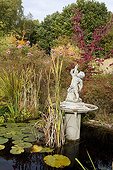 Little garden pound in autumn ; Cornus kousa 'Satomi'<br>Rosa 'Mozart'
