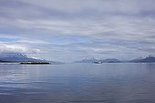 Beagle Channel Tierra del Fuego Argentina and Chile