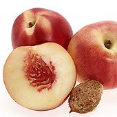 Peaches on a white background 