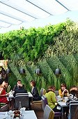 Plant wall in the restaurant  Stay in Beirut Lebanon  ; French chef Yannick Alleno opened in October 2011 the Sweet tea (tea) and STAY, restaurant / bar with some of the exterior walls are covered with plants. Designed by French architect Alain Moatti, they were made by the Lebanese society. Green Studios. 