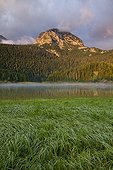 Black Lake at dusk NP Durmitor Montenegro 