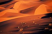 Sand dunes at sunset Sossusvlei Namibia