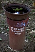 Mosquito Trap Kerala India  ; Every day we throw the water in which mosquitoes have laid eggs 