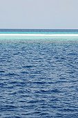 Sandbank in the Indian Ocean in the Maldives