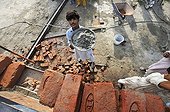 Man lifting pan with cement onto a scaffold, construction of brick houses for families whose houses were destroyed during the flood catastrophe of 2010, Lashari Wala village near Muzaffaragarh, Punjab, Pakistan, Asia