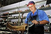 Man repairing a lower limb prosthesis at the orthopedic workshop of the Deutsche Lepra- und Tuberkulosehilfe relief organisation, DAHW, at the leper colony in Agua de Dios, Colombia, South America