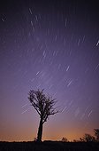Rotating starry sky above a tree France  ; 21 minutes laying