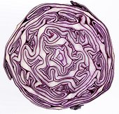 Cross section of red cabbage on white background 