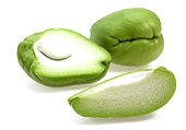 Chayote in studio ; Fruit from Mexico