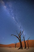 Milky Way over Dead Vlei Soussvlei Namibia