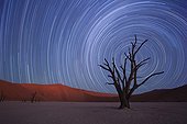 Star trails Dead Vlei Sossusvlei Namibia