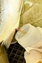 Recovery milt Atlantic Salmon ; Récupération de la laitance de Saumon de l'Atlantique