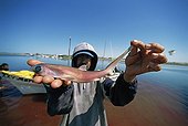 Fisherman holds embryos of Thresher Shark Gulf of California