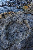 Largest ichnites of sauropod dinosaurs La Griega Beach Spain