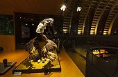 Oviraptor au Musée du Jurassique des Asturies Espagne 