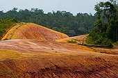 Laterite oxidized rainforest in French Guiana 