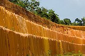 Laterite oxidized rainforest in French Guiana 