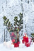 Branch of holly and gifts in a garden under snow
