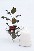 Branch of holly and candle in the snow