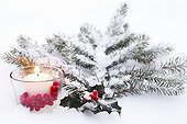 Holly and candle in the snow