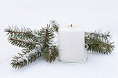 Candle and spruce branche in the snow
