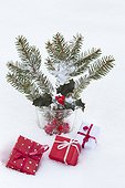 Holly and gifts in the snow