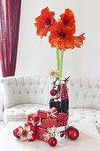 Amaryllis in bloom and Christmas decoration in a living room