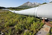 Trans-Alaska oil pipeline in the tundra Alaska USA  ; 800 miles from the Arctic Ocean (Prudhoe Bay - Valdez) through several major earthquake faults: dampers and slide rails can absorb the seismic waves and landslides 