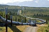 Trans-Alaska oil pipeline in the taiga Alaska USA  ; 800 miles from the Arctic Ocean (Prudhoe Bay - Valdez) through several major earthquake faults: dampers and slide rails can absorb the seismic waves and landslides 