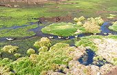 Wetland to El Tatio Atacama Desert Chile Altiplano