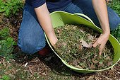 Mowing mulching in a kitchen garden
