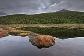 Los Glaciares National Park Tierra del Fuego Argentina 