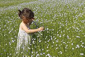 3 years old little girl playing in a flax field