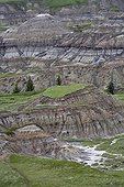Eroded terrain with different geological strata - Canada ; This erosion resulted in the discovery of many dinosaur skeletons, making this region one of the world's largest fossil sites of these species