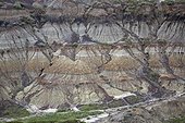 Eroded terrain with different geological strata - Canada ; This erosion resulted in the discovery of many dinosaur skeletons, making this region one of the world's largest fossil sites of these species