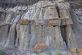 Eroded terrain with different geological strata - Canada ; This erosion resulted in the discovery of many dinosaur skeletons, making this region one of the world's largest fossil sites of these species